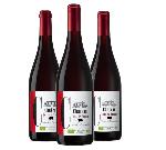 AOC COTES DU MARMANDAIS ROUGE CHATEAU COTE DE FRANCE BIO 2019 3X75CL