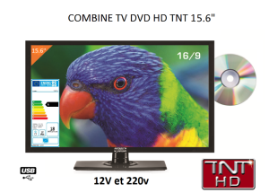 Antarion TV HD LED DVD 39,6 CM pour camping car 12v/24v / 220v