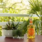 Rhum Tijuca 42% Native woods Le lot de 6 bouteilles de 70 cl