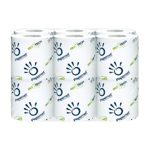 Papier Toilette WC chimique biodegradable x12