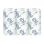 Papier Toilette WC chimique biodegradable x12